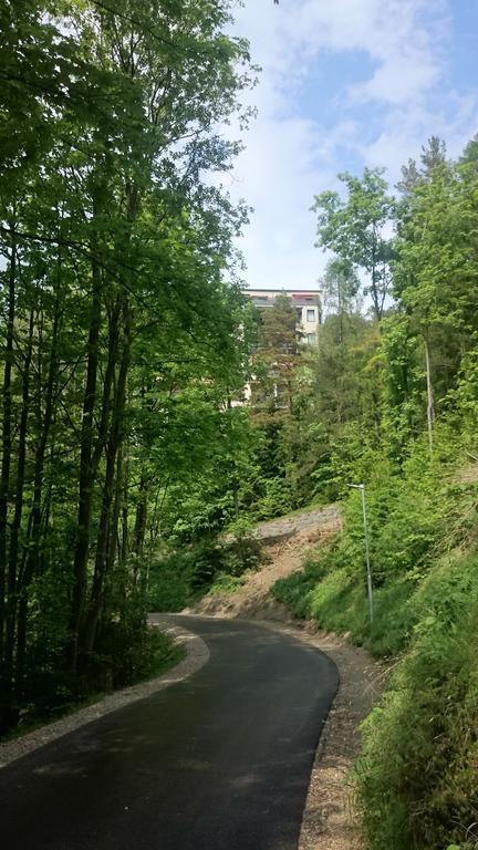 Semmering Studio-Apartment Cameră foto
